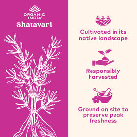 Capsules Shatavari ORGANIC INDIA sur un fond blanc