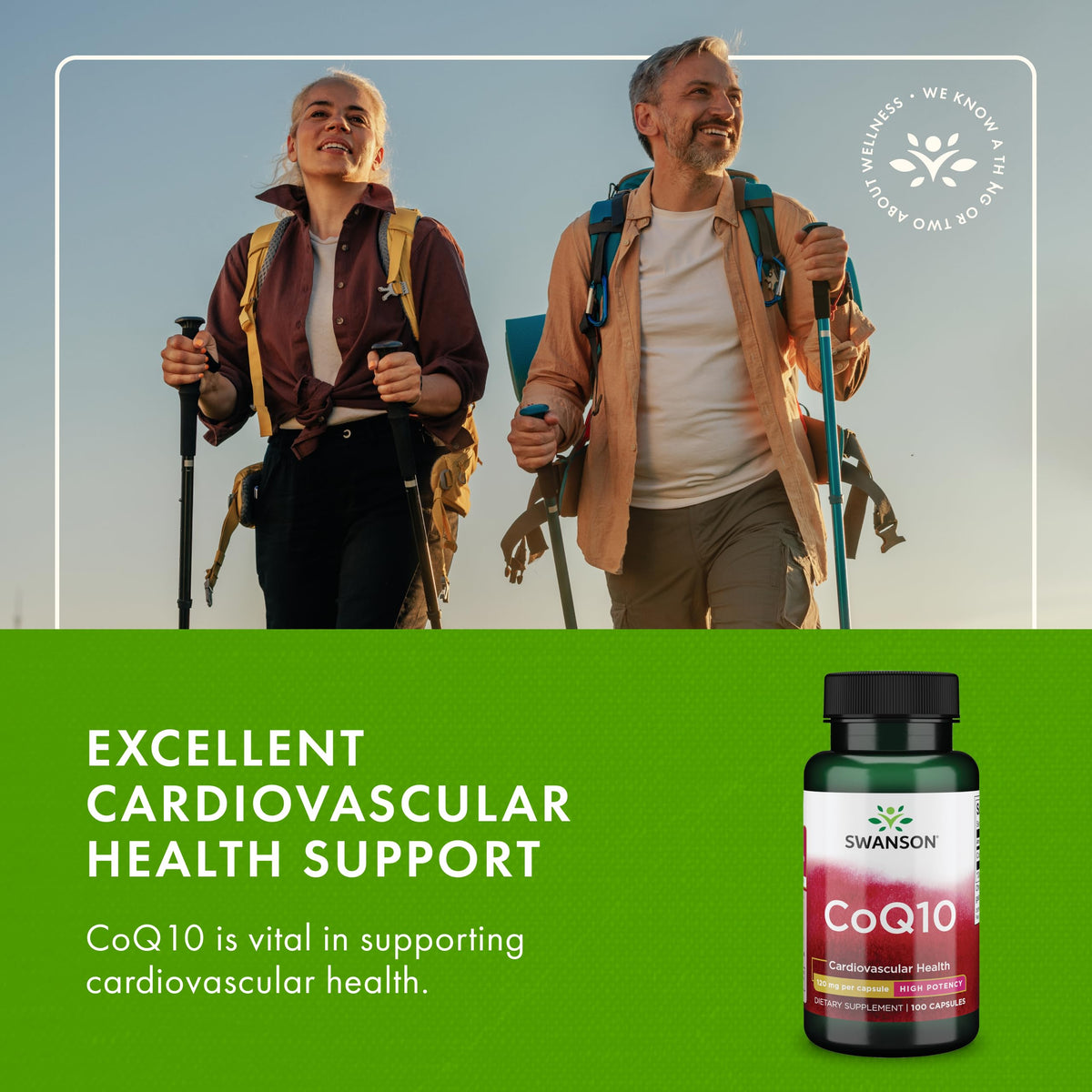 Capsules Swanson CoQ10 dans une main
