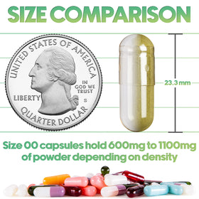 Capsules Taille 00 XPRS Nutra, transparentes et faciles à remplir