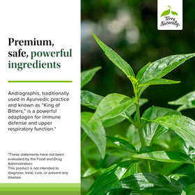 Capsules Terry Naturally Andrographis EP80 en gros plan