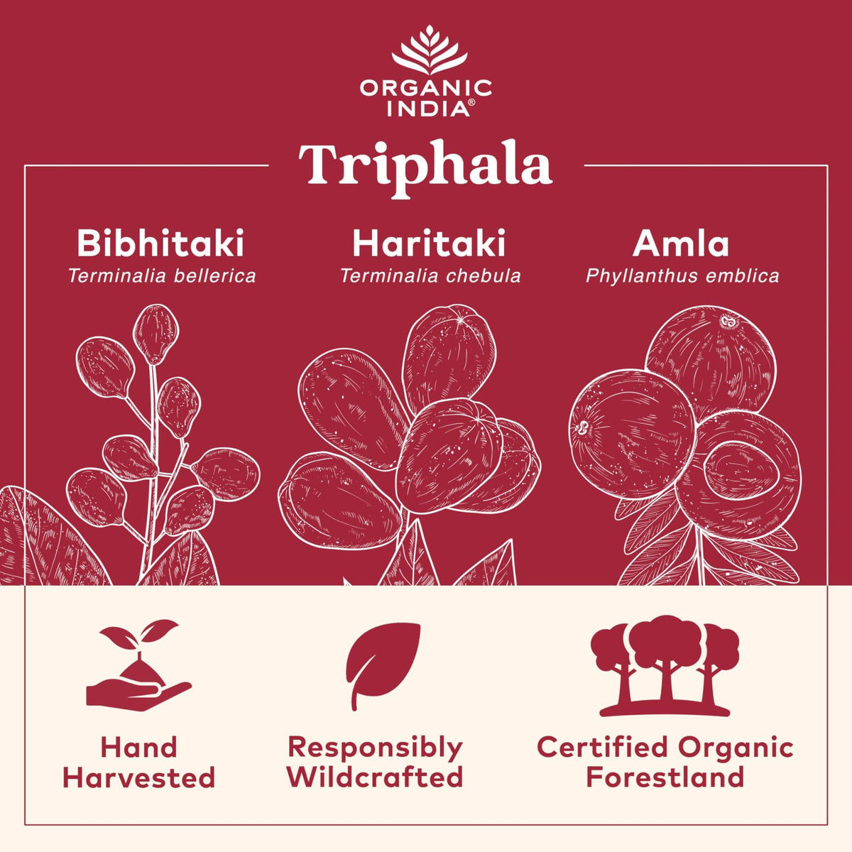 Capsules Triphala Bio ORGANIC INDIA sur une surface en bois