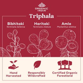 Capsules Triphala Bio ORGANIC INDIA sur une surface en bois