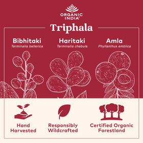 Capsules Triphala Bio ORGANIC INDIA, vue de près