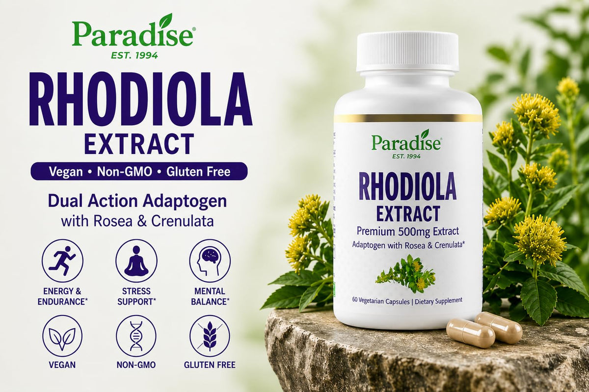 Capsules végétales d'extrait de Rhodiola sur une surface en bois