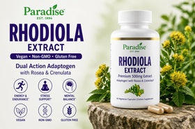 Capsules végétales d'extrait de Rhodiola sur une surface en bois