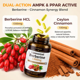 Capsules végétales de Liposomal Berbérine avec Cannelle Ceylan