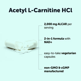 Capsules végétales de Micro Ingredients Acetyl L-Carnitine HCl sur fond blanc