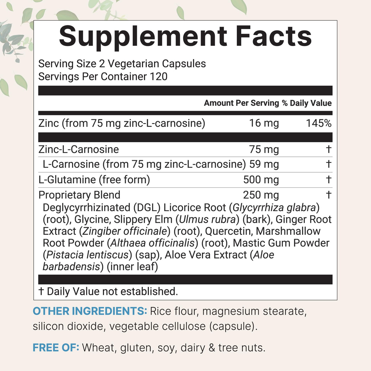 Capsules végétales de Micro Ingredients Complexe Carnosine Zinc 10-en-1
