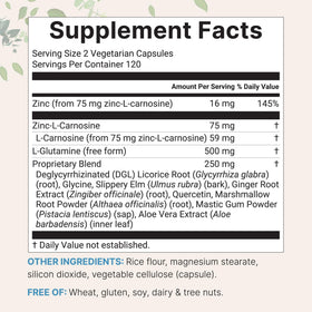 Capsules végétales de Micro Ingredients Complexe Carnosine Zinc 10-en-1