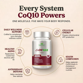 Capsules végétales de Sundhed Natural CoQ10 sur une surface blanche