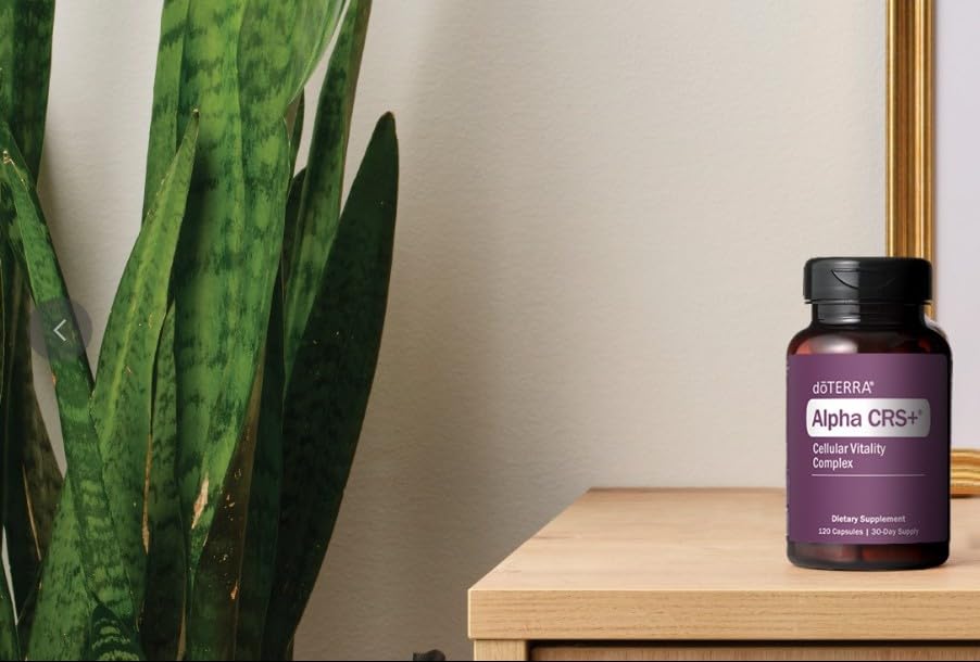 Capsules végétales doTERRA Alpha CRS+ sur fond neutre