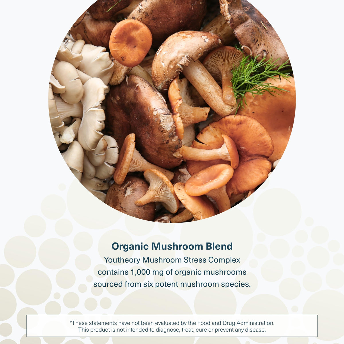 Capsules végétales du Complexe de Champignons Youtheory sur une surface blanche