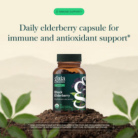 Capsules végétales Gaia Herbs Sureau Noir sur fond blanc
