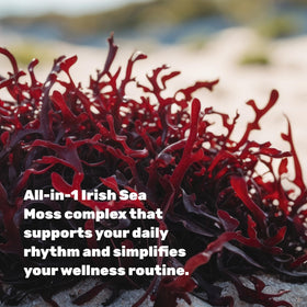 Capsules végétales Irish Sea Moss sur une table en bois