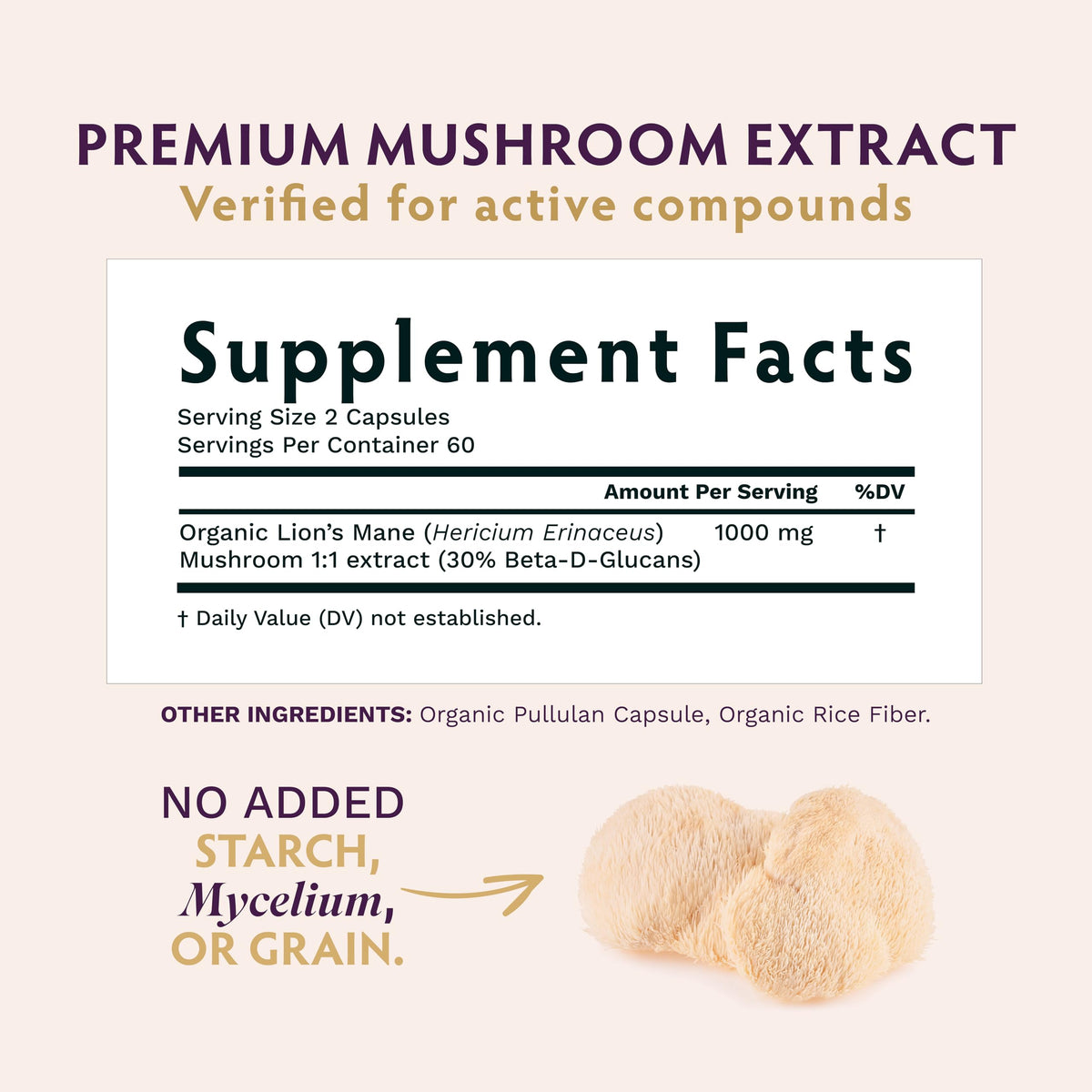 Capsules végétales TRIBE ORGANICS Lion’s Mane dans un flacon