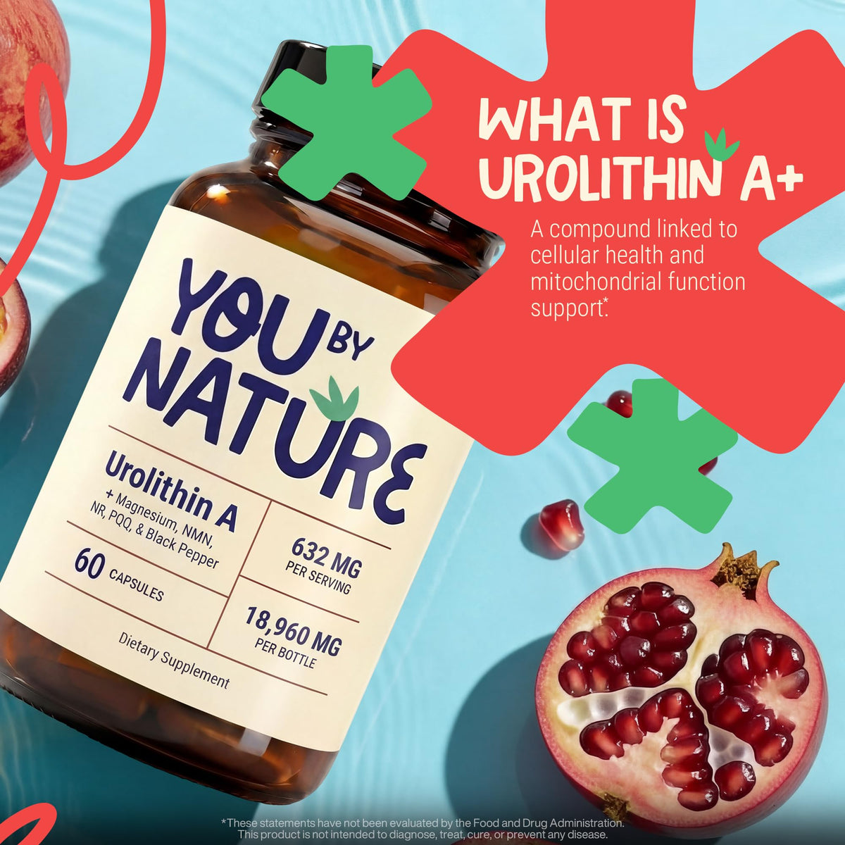 Capsules végétales YOUBYNATURE Urolithin A sur fond blanc