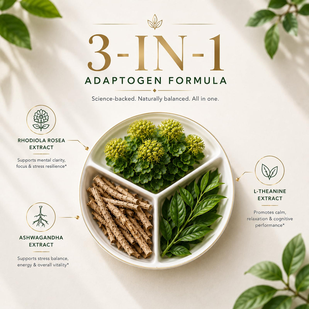 Capsules végétariennes d'OVEXLIO Rhodiola Rosea sur fond blanc