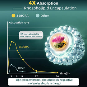 Capsules végétariennes ZEBORA Chardon-Marie