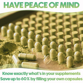 Capsules vides taille 2 XPRS Nutra dans un bol avec poudre à remplir