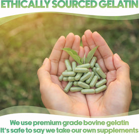 Capsules vides XPRS Nutra taille 00, design à fermeture clic
