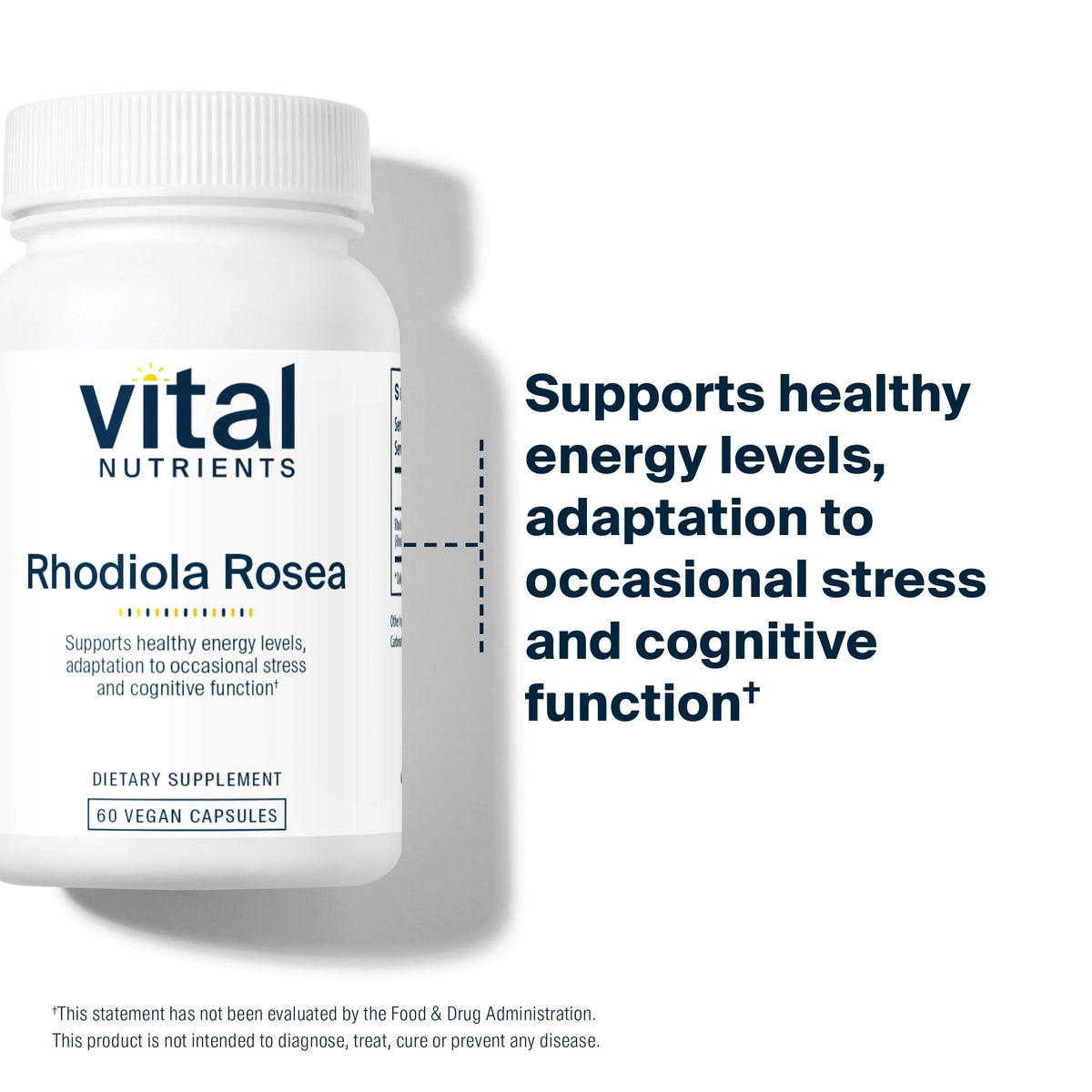 Capsules Vital Nutrients Rhodiola Rosea à côté d'un verre d'eau