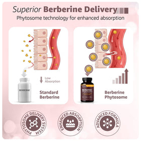Capsules WellForge Berbérine Phytosome sur une surface en bois