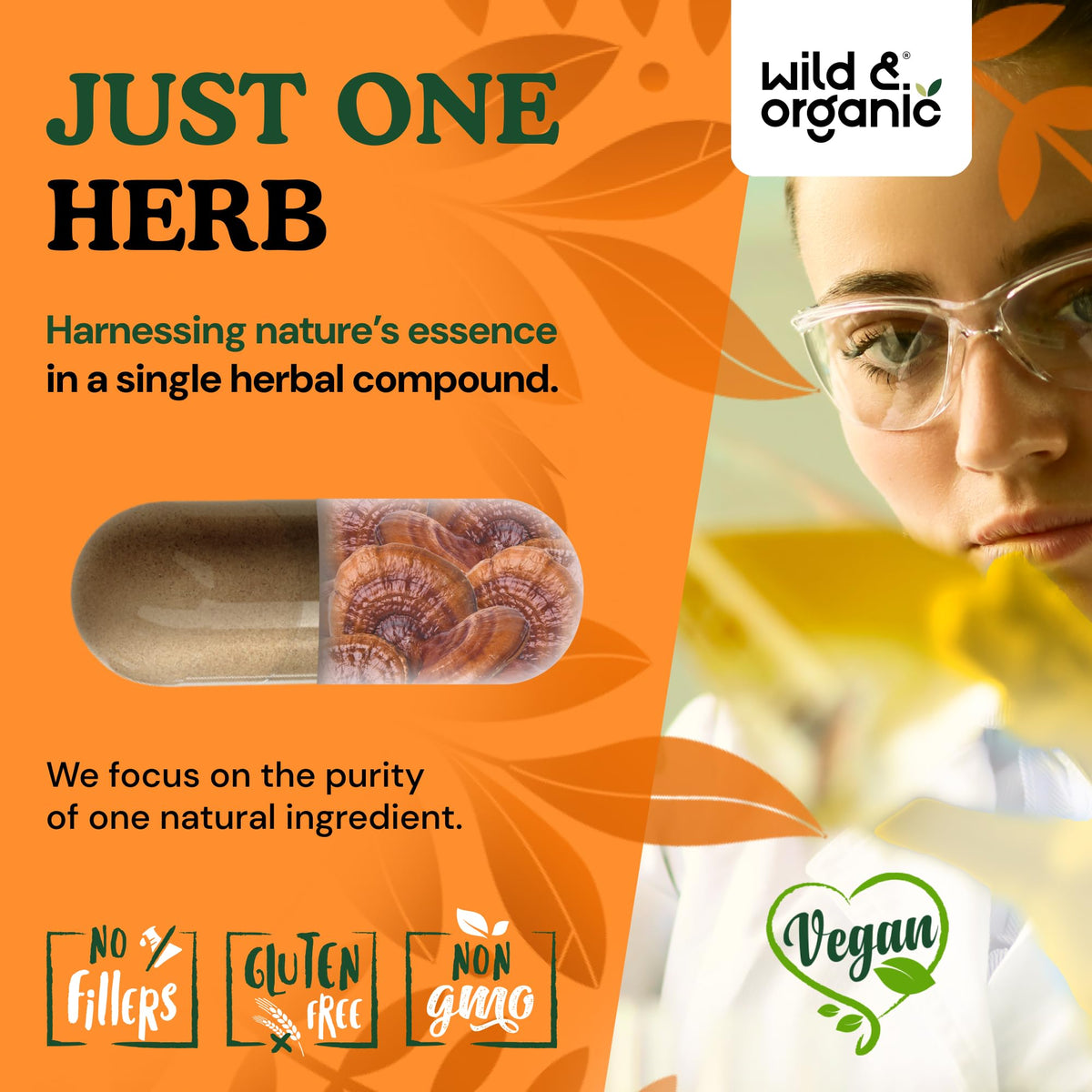 Capsules Wild & Organic de champignon Reishi dans une main