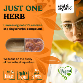 Capsules Wild & Organic de champignon Reishi dans une main