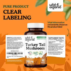 Capsules Wild & Organic Turkey Tail avec une main tenant le flacon