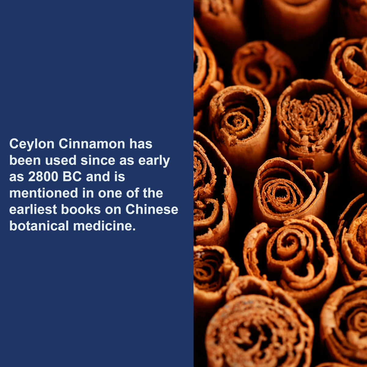 Carlson Ceylon Cinnamon 500 mg gélules avec étiquettes