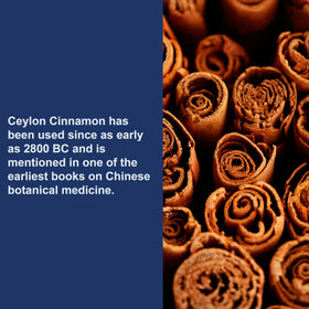 Carlson Ceylon Cinnamon 500 mg gélules avec étiquettes