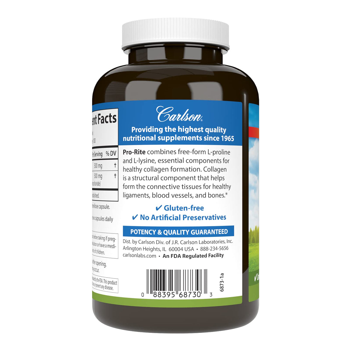 Carlson Pro-Rite capsules ouvertes montrant leur taille