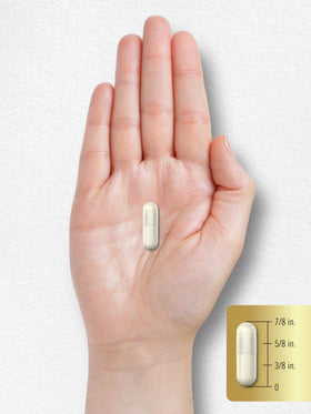 Carlyle Acétyl L-Carnitine 500mg Capsules - sur une table