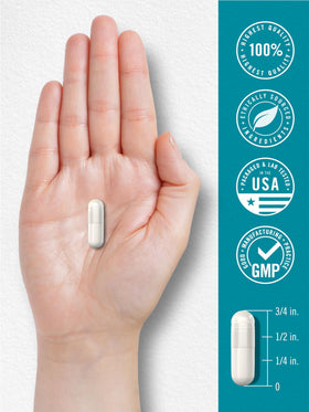 Carlyle Acide Hyaluronique 50 mg, présentation avec des ingrédients naturels