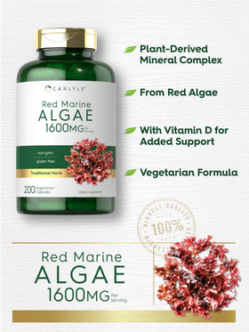 Carlyle Algue Marine Rouge 1600mg capsules ouvertes montrant la taille