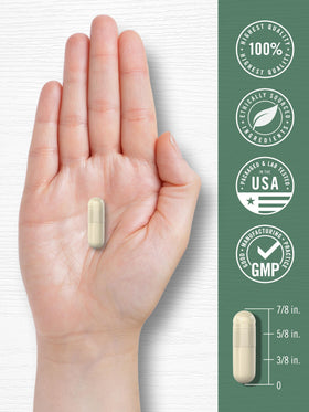 Carlyle Algue Marine Rouge 1600mg vue latérale de la boîte