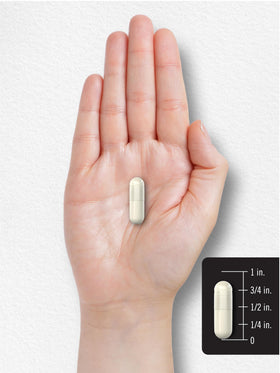 Carlyle capsules de niacinamide 500mg en gros plan