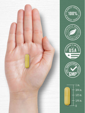 Carlyle Capsules de Racine d'Oranger sur un bureau