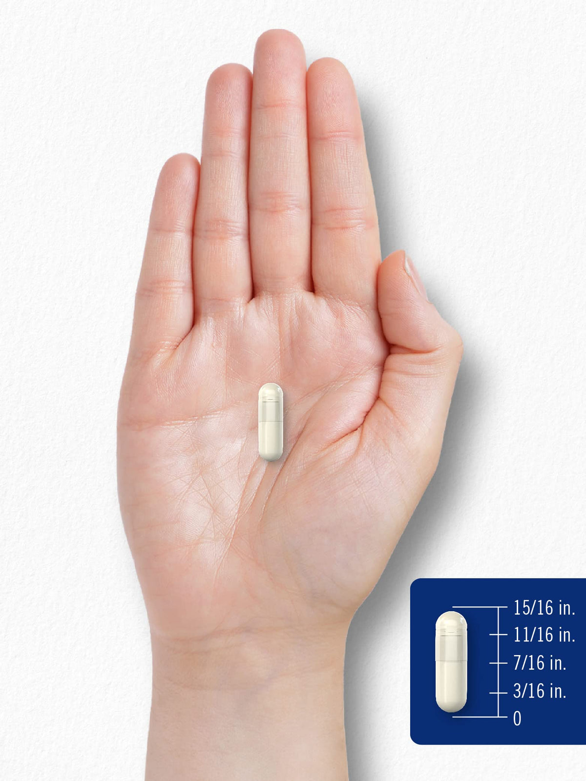 Carlyle Chitosan 1200mg capsules avec arrière-plan naturel