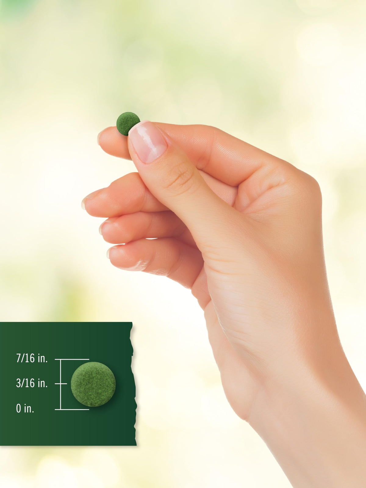 Carlyle Chlorella comprimés 250 mg sur fond neutre