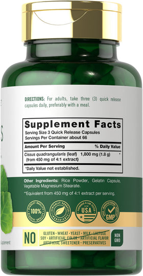 Carlyle Cissus Quadrangularis, capsule ouverte montrant la taille