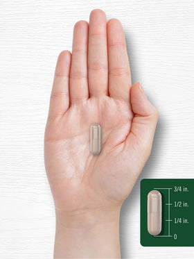 Carlyle Cissus Quadrangularis, vue aérienne des capsules dans un bol