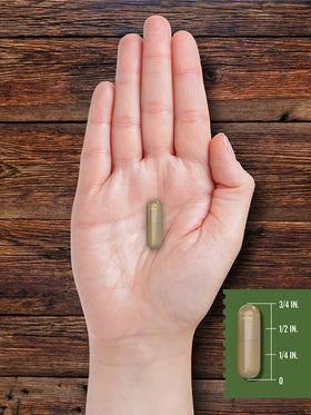 Carlyle Complément Alimentaire de Rein de Boeuf - Flacon Ouvert avec Capsules