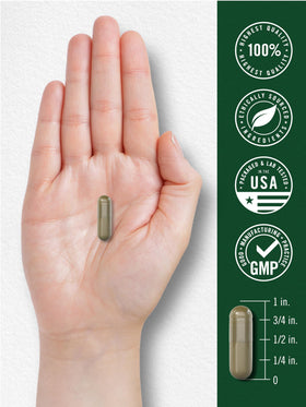 Carlyle Complément Alimentaire Fruits et Légumes - capsules sur une surface blanche