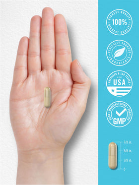 Carlyle Complément Alimentaire NAD+ 1000 mg capsules avec eau
