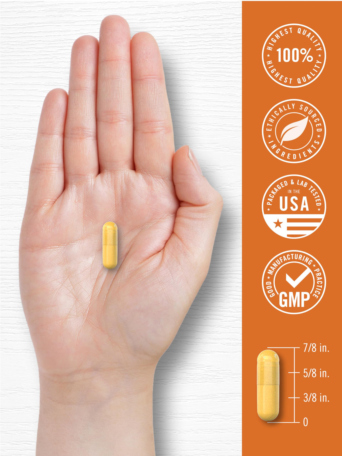 Carlyle Curcuma Curcumine avec des racines de curcuma à côté