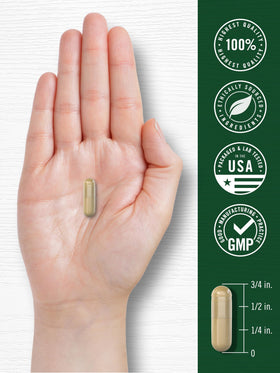Carlyle Extrait de Feuille d'Ortie 300 Capsules sur une table
