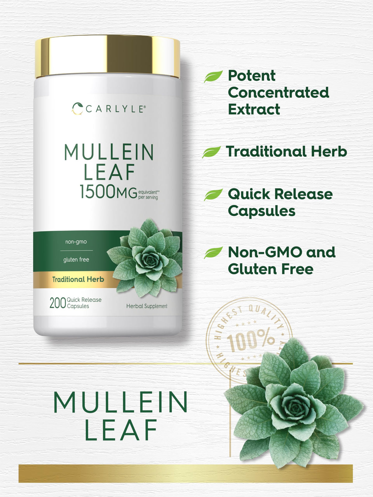 Carlyle Extrait de Feuille de Molène 200 Capsules avec une main tenant la bouteille