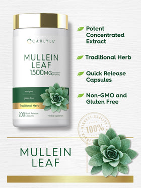 Carlyle Extrait de Feuille de Molène 200 Capsules avec une main tenant la bouteille