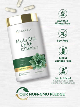 Carlyle Extrait de Feuille de Molène 200 Capsules ouvertes avec capsules visibles